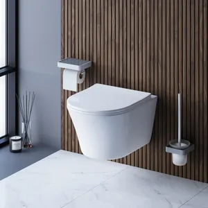 Унитаз подвесной Damixa (365х485х400) безободковый с сиденьем микролифт DX35C1700SC