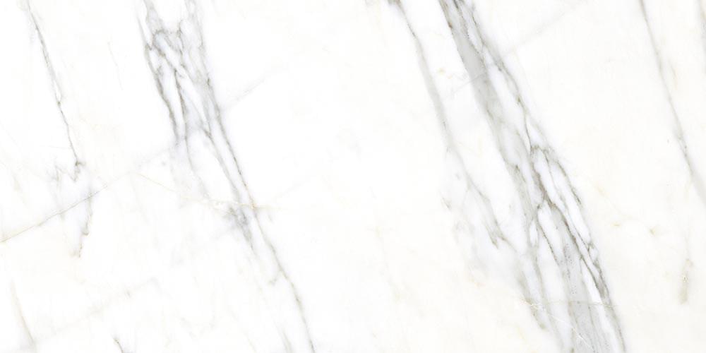 фон Marblelous Verbier R Pulido 59.3x119.3