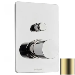 Смеситель для душа Bossini Z00006043 встраиваемый, на 2 вых.,внеш.часть, без излива, сат. золото