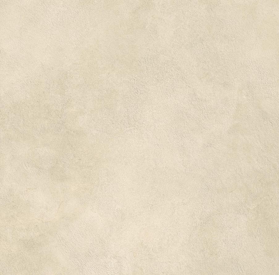 фон Boost Expression Camel 60x60