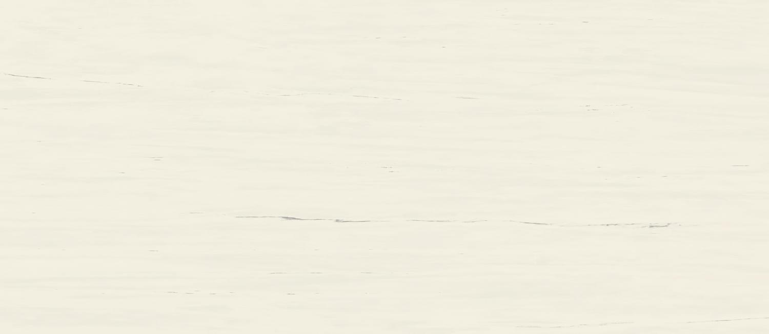 фон Marvel Stone Bianco Dolomite Matt 120x278