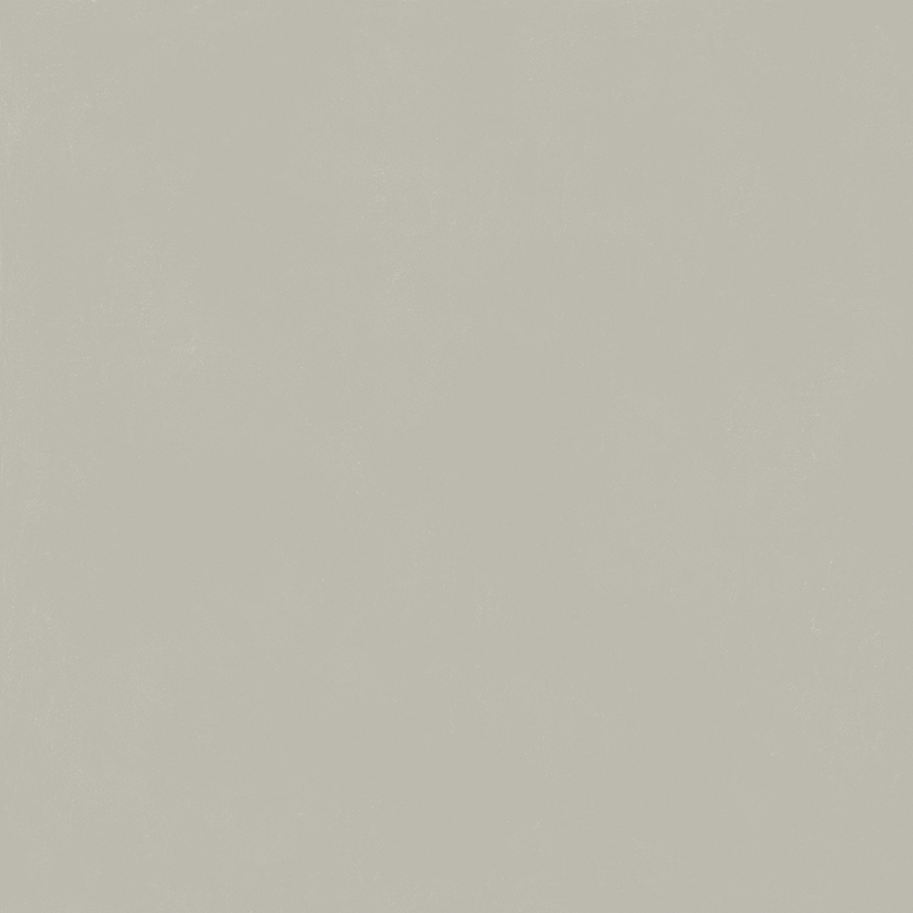 керамогранит FORUM SLIM SILVER 120 RET матовая