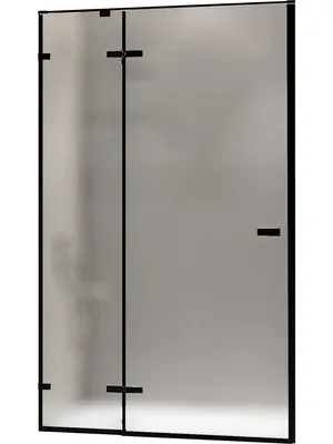 Душевая дверь RGW SV-004B (1600х2000) распашная, стекло 8мм матовое/черный 353200416-24