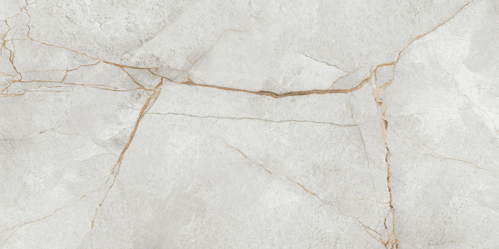 Special Marmo Gray 60*120