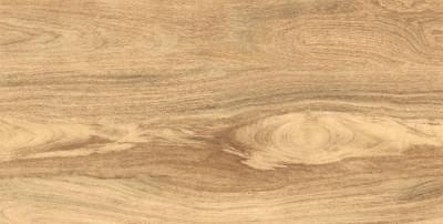 фон Carving Taiga Light 60x120