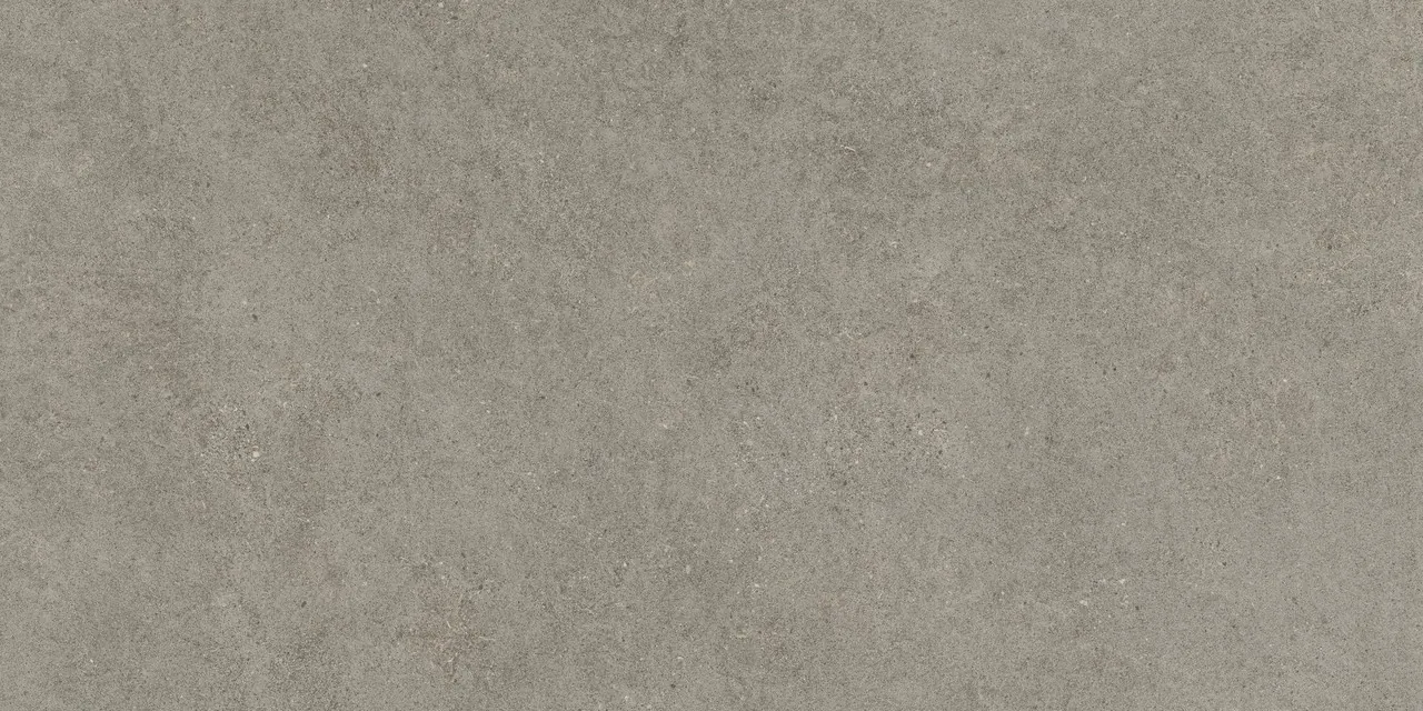 Forte Dei Marmi Rock Lunar Grey Matt 80x160 матовая