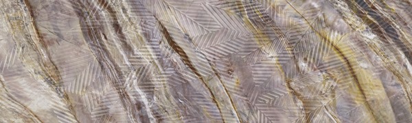 Vivid Red Louise Floret 29.75X99.55 глянцевая