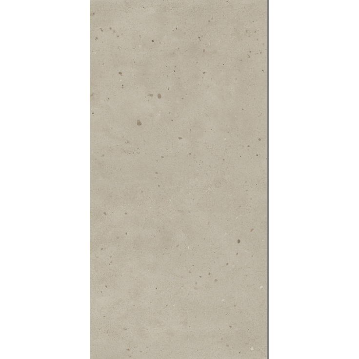 Avantgarde Dust 60x120 матовая