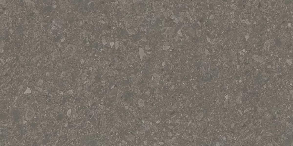 фон Чеппо Ди Гре Коричневый Матовый Обрезной 60x119.5