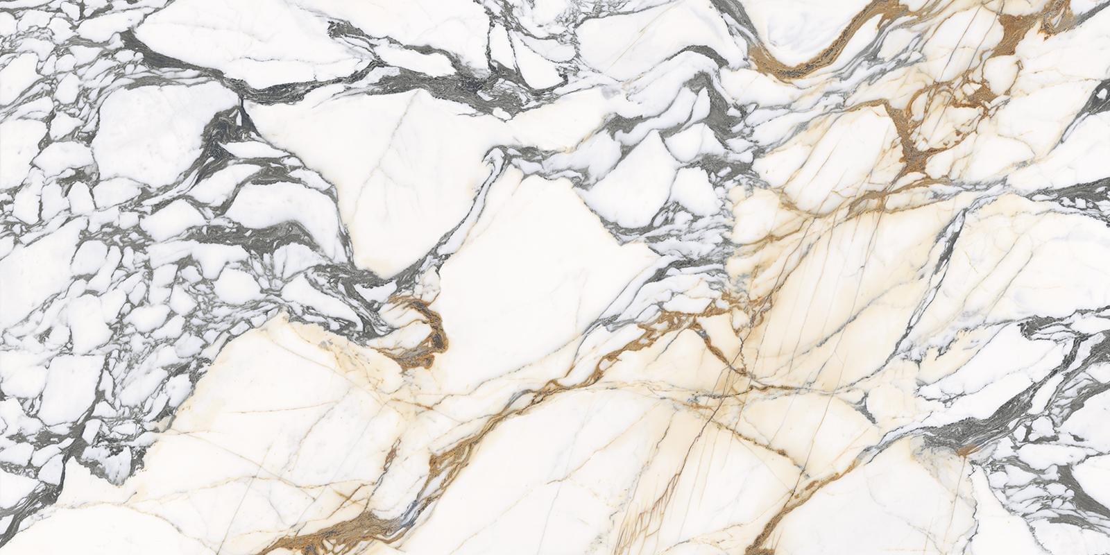 фон Marmi Stuoiato Calacatta Paonazzo Full Lappato 160x320