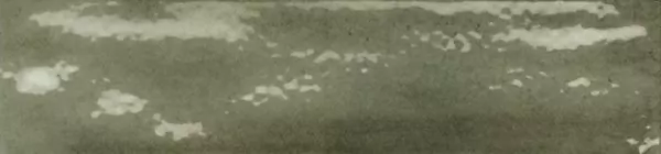 Multiforme Giada  7.5X30 глянцевая