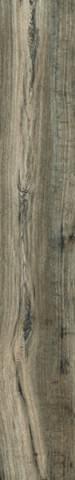 фон Soft Ash 15x100