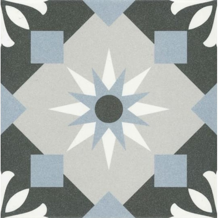 Revoir Paris La Madeleine VVS2020_015 Henri 20x20 матовая