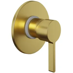 Смеситель для душа Paini встраиваемый, однозахватный, золото брашированное 74PJ690