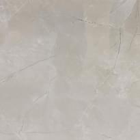 Porcelain Tile Jeffer Grey 60x60 полированная