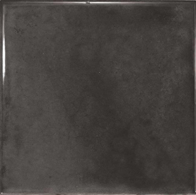 фон Splendours Black 15x15