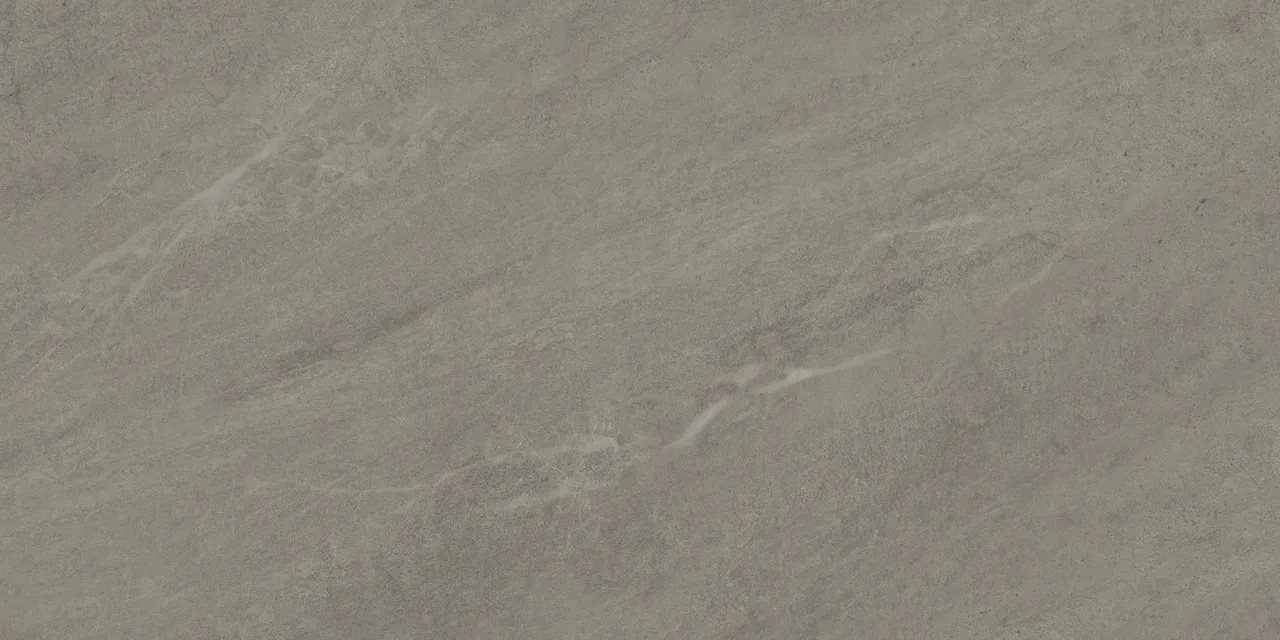 Forte Dei Marmi Rock Venaria Grey Matt Ret 60x120 матовая