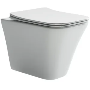 Унитаз подвесной Ceramicanova 495х345х360 безободковый, сиденье микролифт, крепеж CN1902