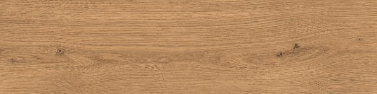 фон Log Amber Oak Forest 20 mm 30x120