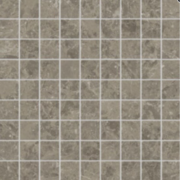 Atlas Concorde Marvel Meraviglia AJQB Grigio Elegante 30x30 матовая