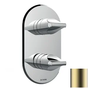 Смеситель для душа Bossini Z00501043 встраиваемый, на 2-5 выход., внеш.часть, сатиновое золото