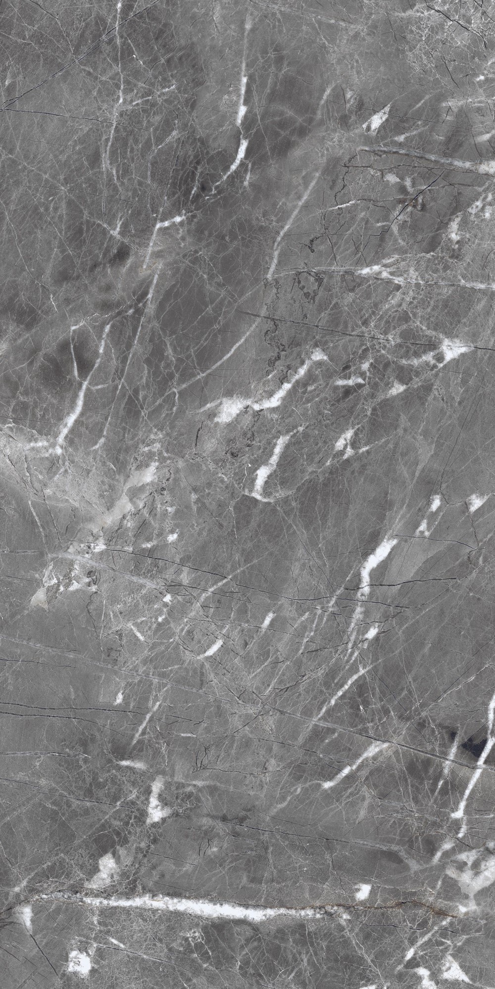 Shadow Dark Grey Polished 120X60 полированная