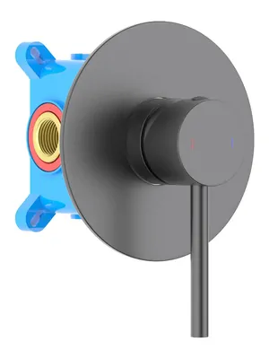 Смеситель для душа Aquatek AQ1366BGM встраиваемый, однозахватный, цвет: сталь оружейная