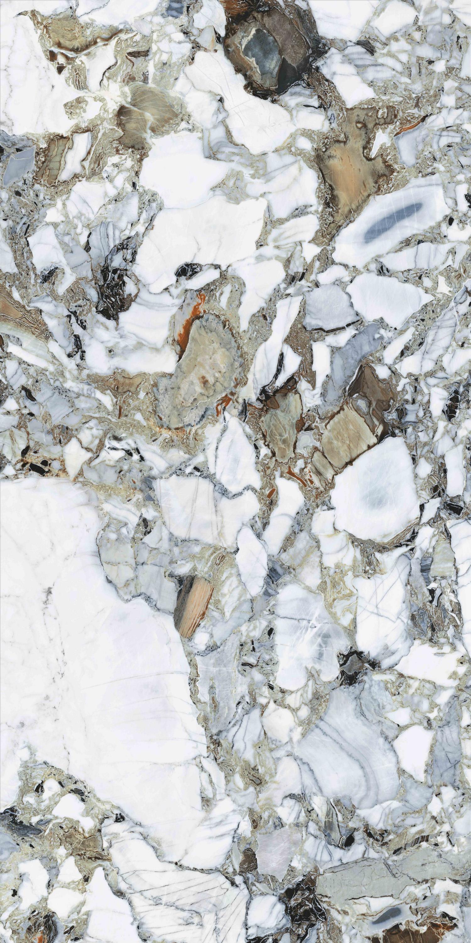 Citymarble Amazon Multicolor  Rectified 60X120 лаппатированная