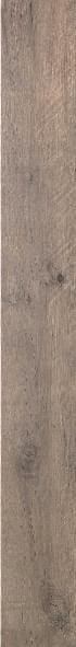 Dakota Avana Ret. 20X170 матовая