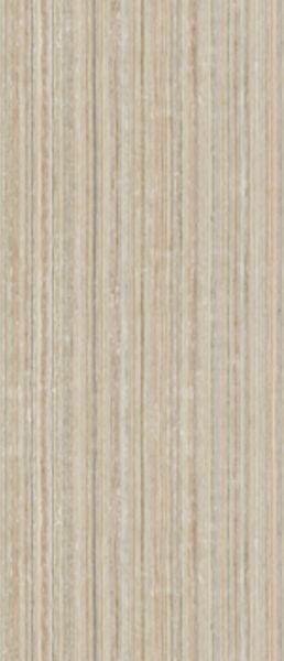 декор Retina SIGNUM6278RM 120x278