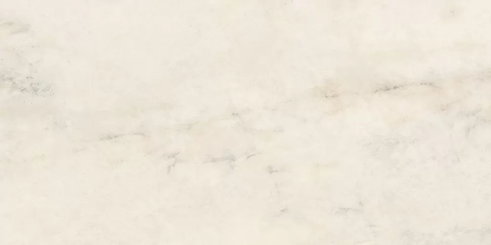 Patagonia Bianco Nat Ret 120X60 матовая