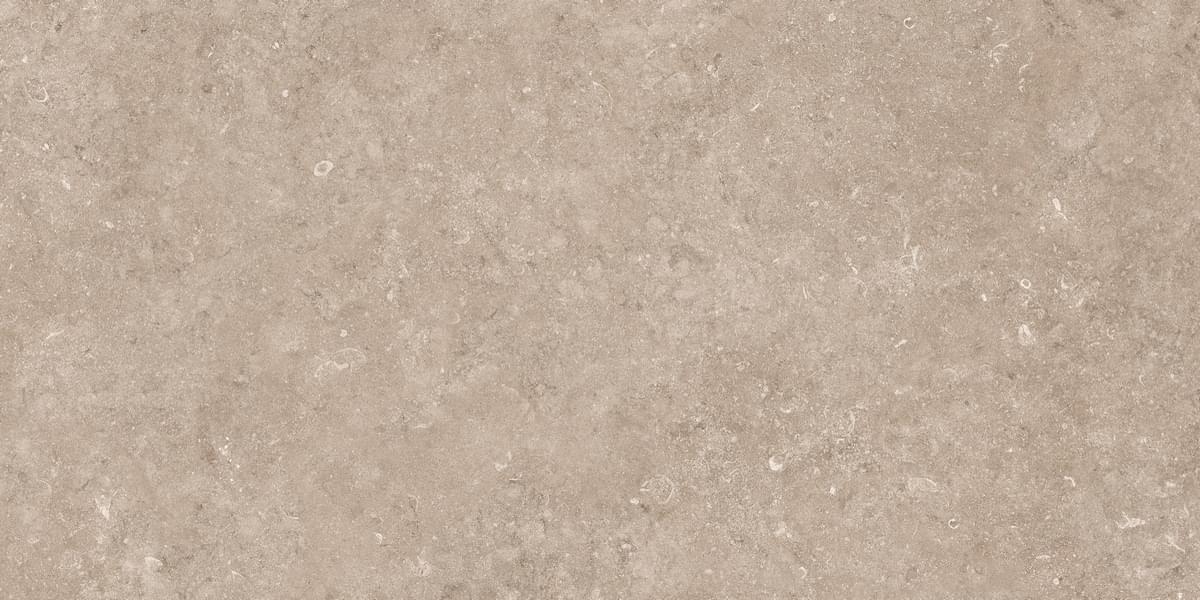 фон Stone Pariso Tobacco Matt 60x120