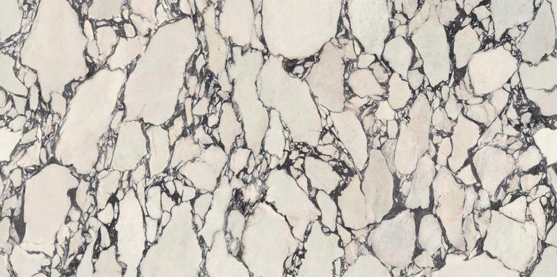 фон Marvel Epic Calacatta Viola Polished 6 mm 160x320