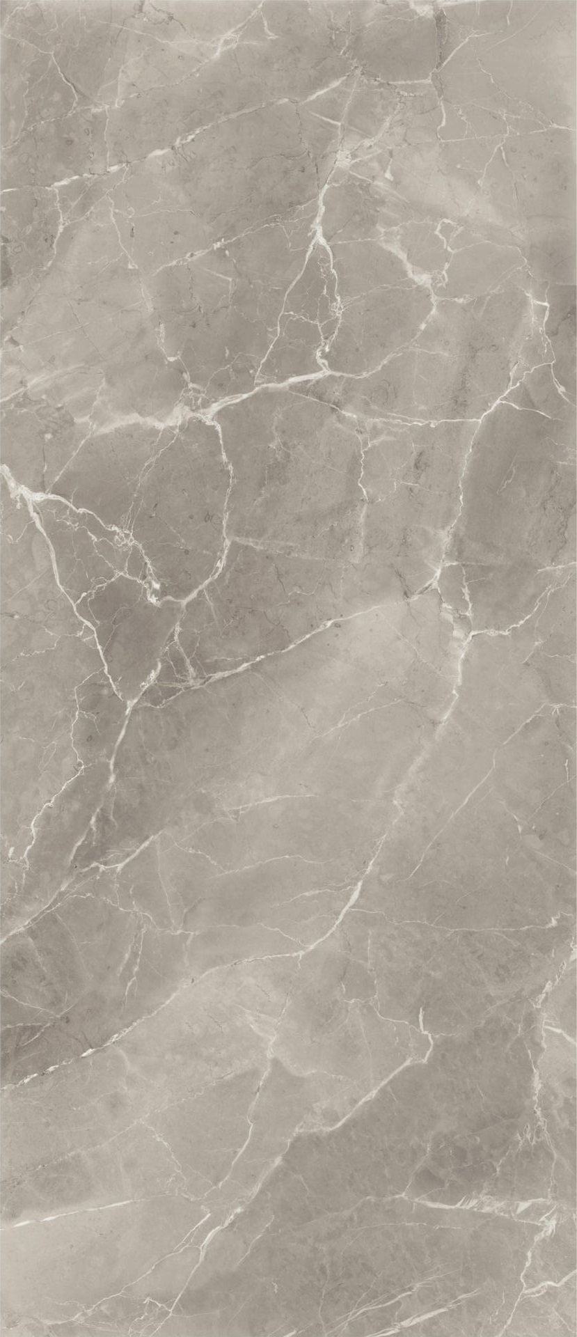 Purity Marble Elegant Grege Lux 278X120 полированная