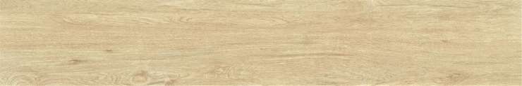 Porcelain Tile Zc 1223096 Rect. 20x120 матовая