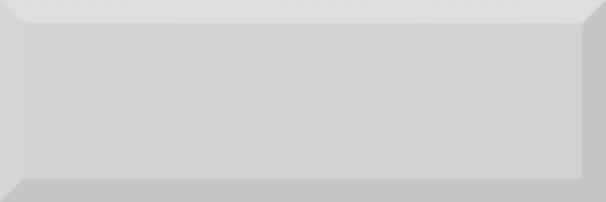 Monocolor Gris Biselado  10X30 глянцевая