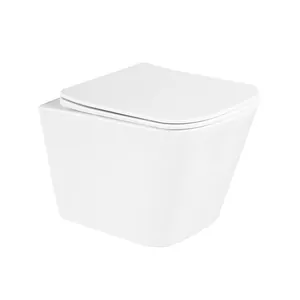 Унитаз подвесной BelBagno 350x480x363 безободковый, сиденье soft close, цвет: белый BB3103CHR/SC