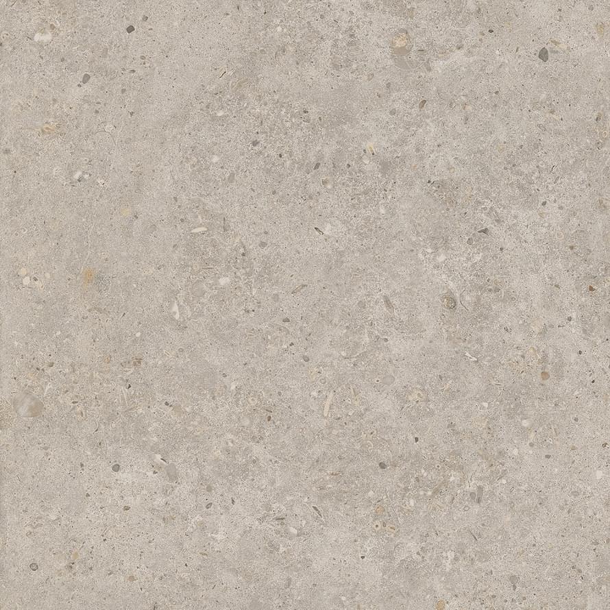 фон Риккарди Бежевый Матовый Обрезной 60x60