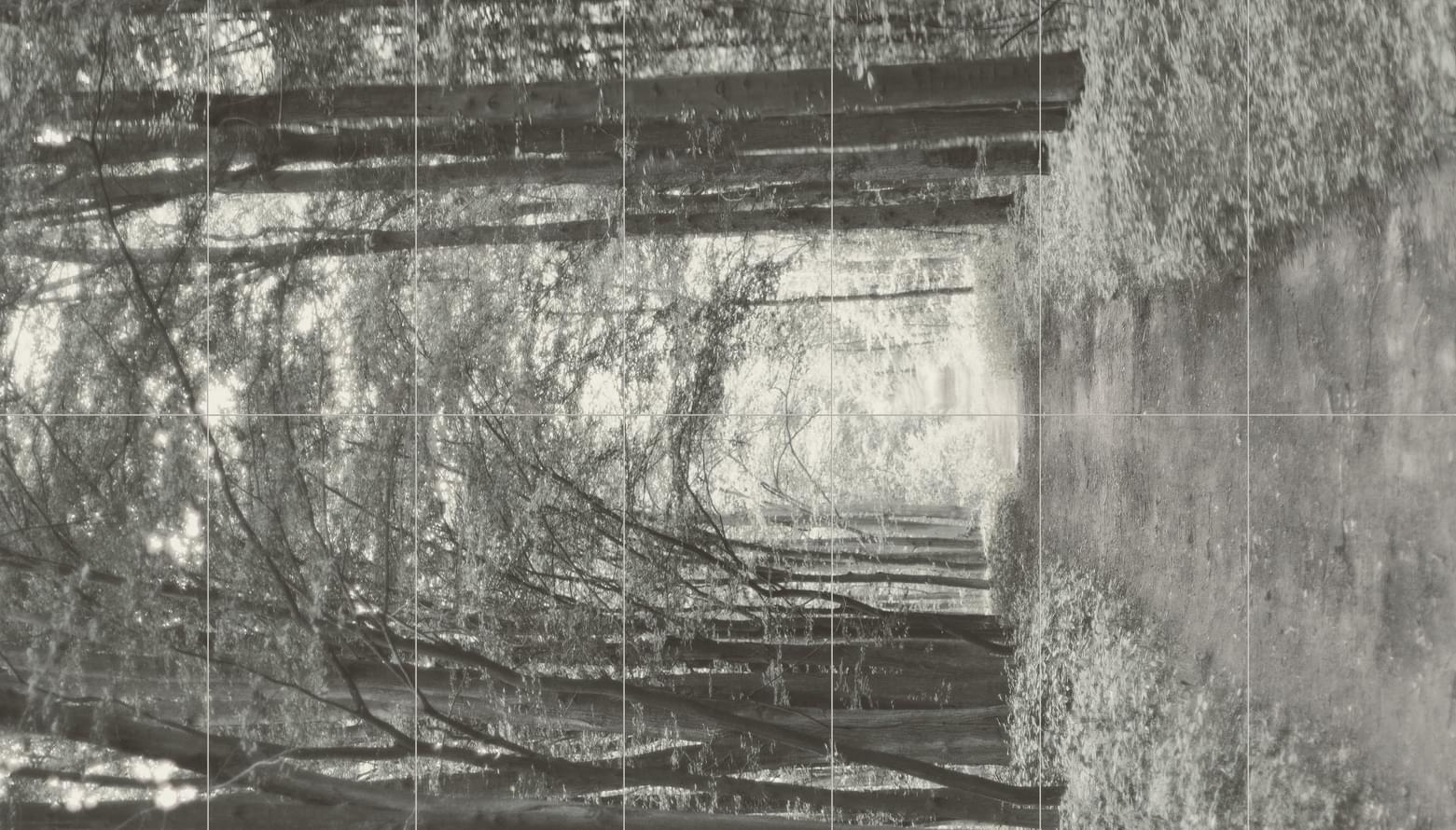 In White 119,8X209,8 матовая