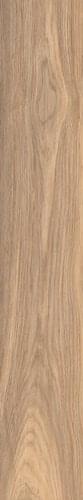 фон Elisir Royal Dorato 20x120