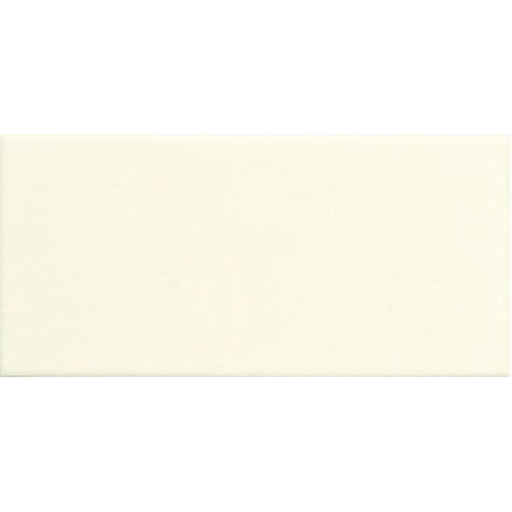 Adex Neri ADNE1079 Liso Pb Biscuit 10x20