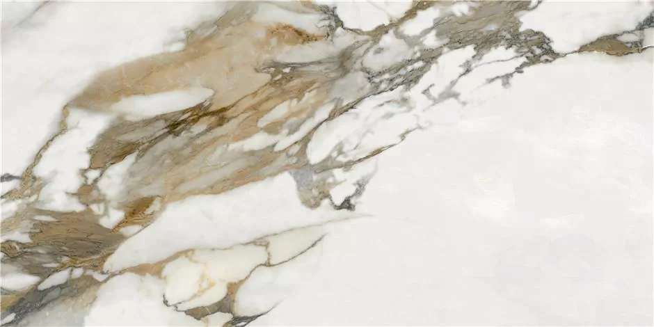 Stagnone Gold Pulido Rect 120X60 полированная