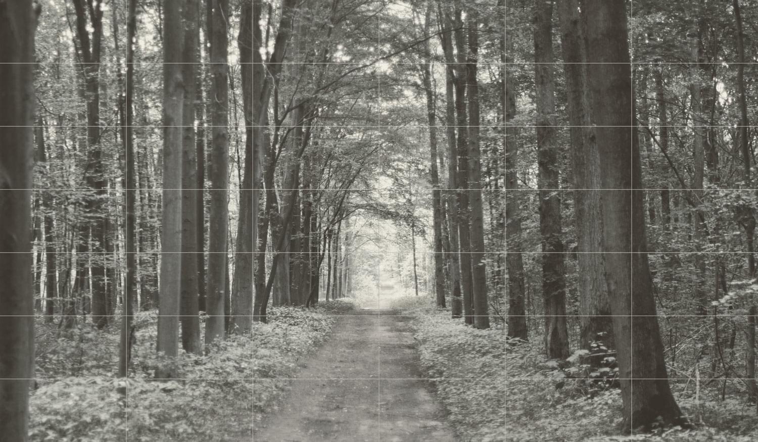 In White 209,8X359,8 матовая