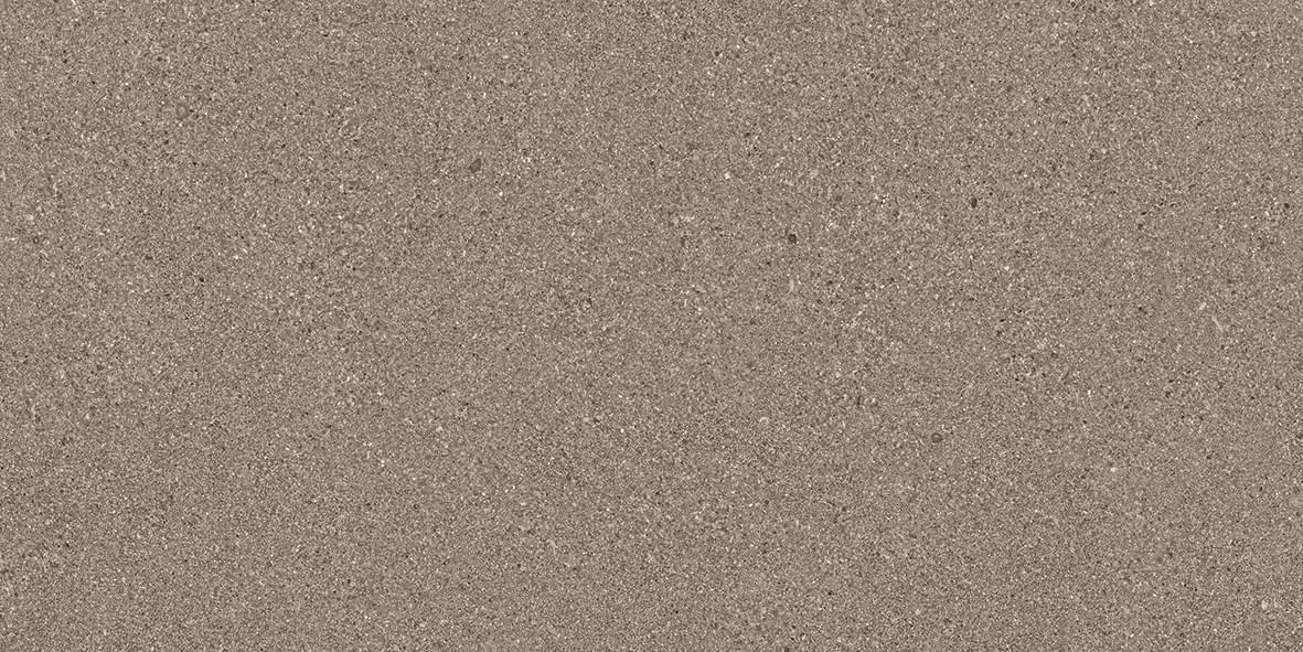фон Grain Stone Taupe Fine Grain Lappato 60x120