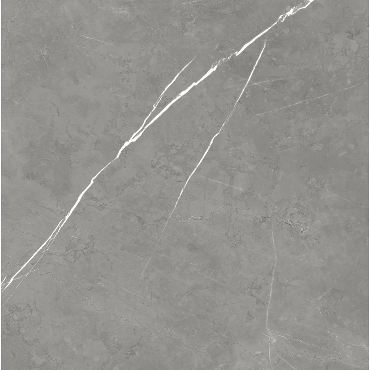 Atlas Concorde Russia Forte Dei Marmi 610010002718 Elegant Grey Rett 80x80 матовая