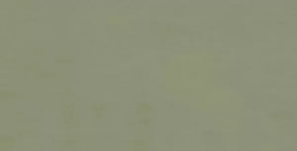 Multiforme Muschio Rt 80X40 матовая