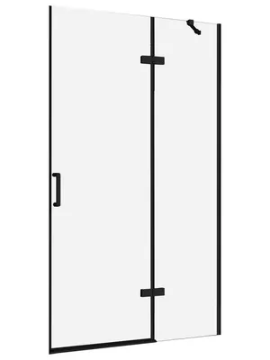 Душевая дверь ABBER AG08120B (1200х1950) распашная, стекло 6мм прозрачное/черный