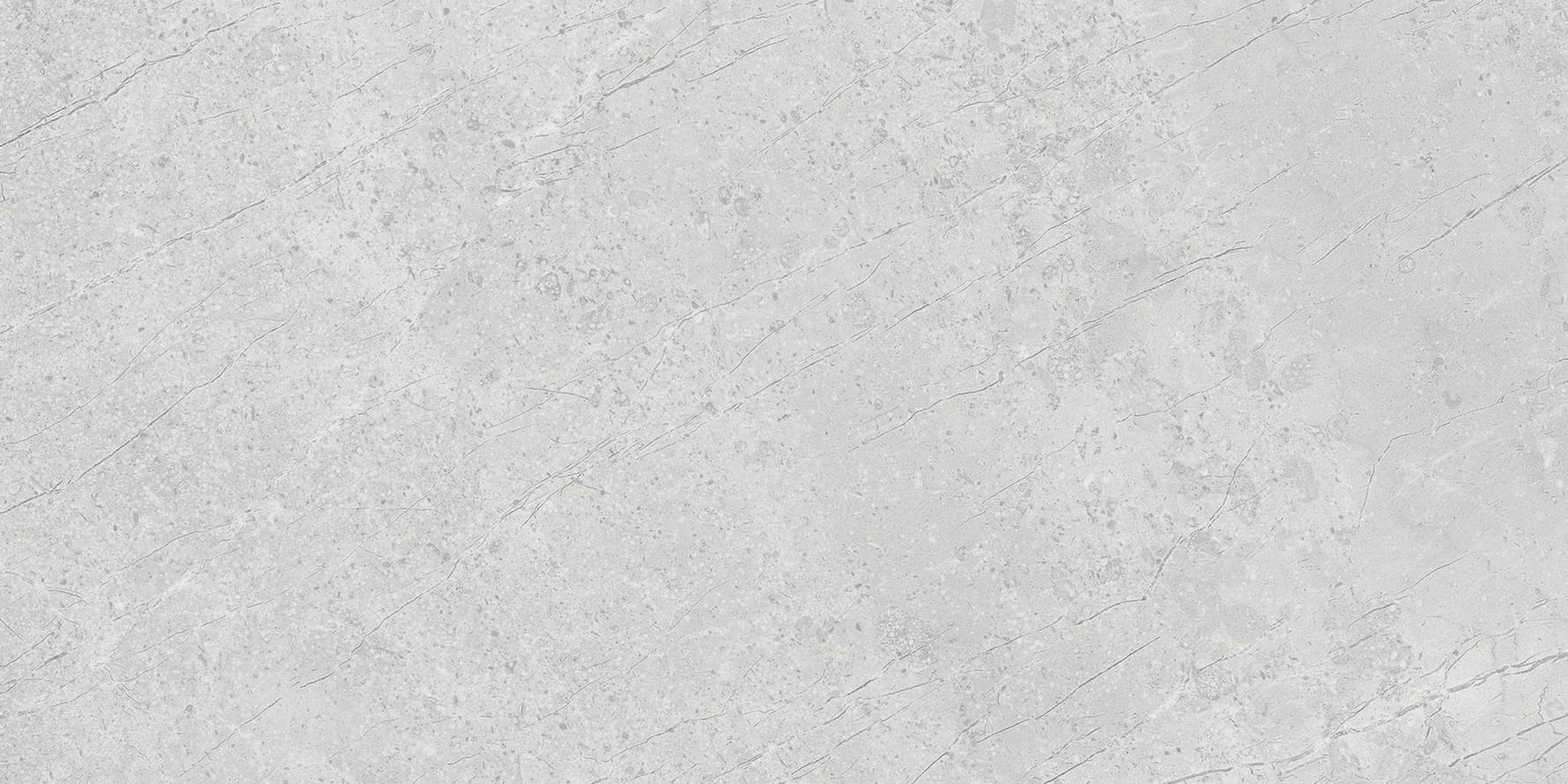 фон Alpine Grey As C R 60x120