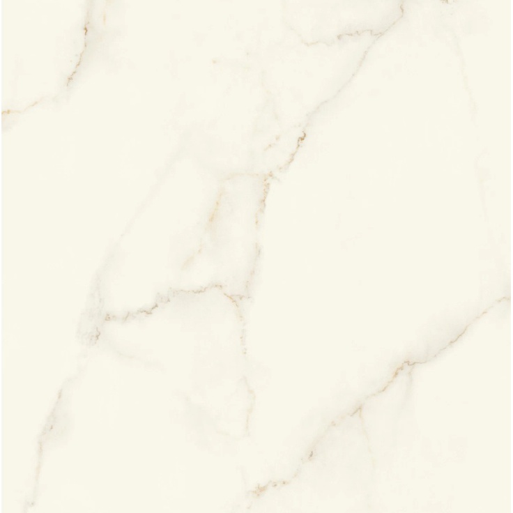 Atlas Concorde Marvel X AFVJ Calacatta Apuano Silk 120x120