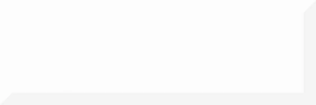 Monocolor Blanco Biselado  30X10 глянцевая